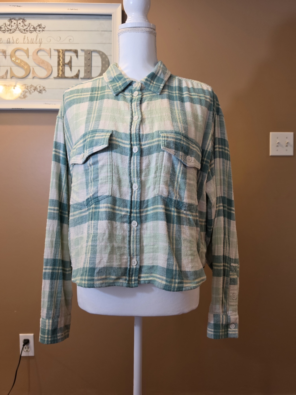 American Eagle Outfitters Mint Green and Cream Plaid Crop Button-Up